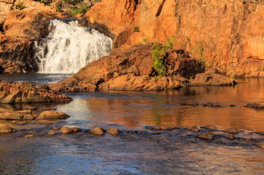 Edith Falls 'da üst havuz, Nitmiluk Ulusal Parkı, Kuzey Bölgesi, Avustralya