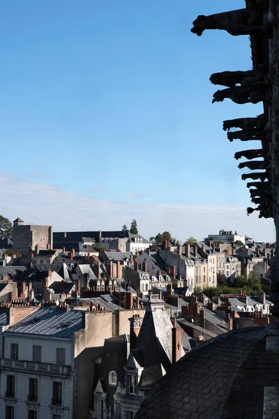 パリの街のパノラマとガーゴイルのシルエット — ストック写真