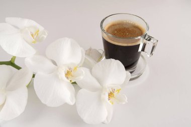 Cam bir fincanda sade kahve ve etrafında beyaz çiçekler olan bir fincan tabağı.