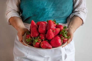 Bir aşçının elindeki taze çileklere yakından bakın.