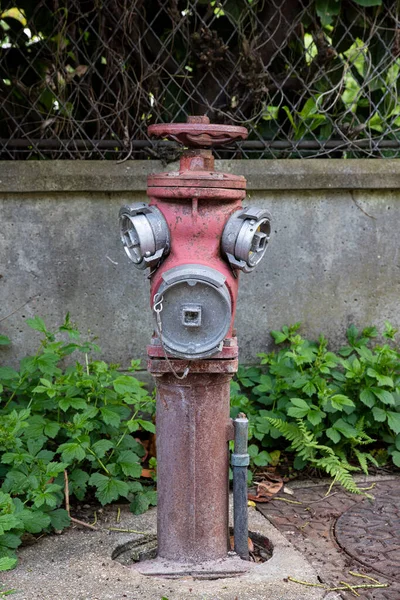 Närbild Röd Brandpost Trottoar — Stockfoto