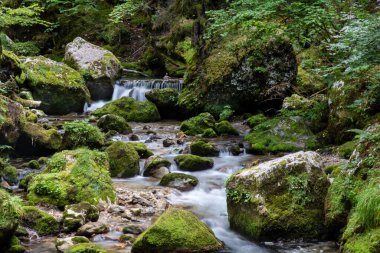 Şelale Fransa 'da Chartreuse' da, dağlarda.