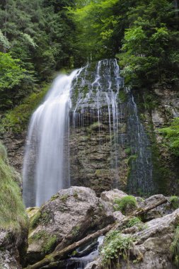 Şelale Fransa 'da Chartreuse' da, dağlarda.