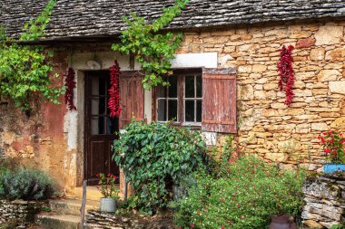 Fransa 'nın Dordogne bölgesindeki eski bir taştan çiftlik evinde kurutulan kırmızı biberler..