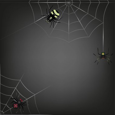 iki web'lerde oturan üç örümcek siyah arka plan.
