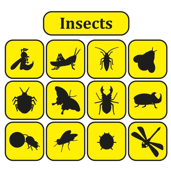 Aantal verschillende insecten — Stockvector