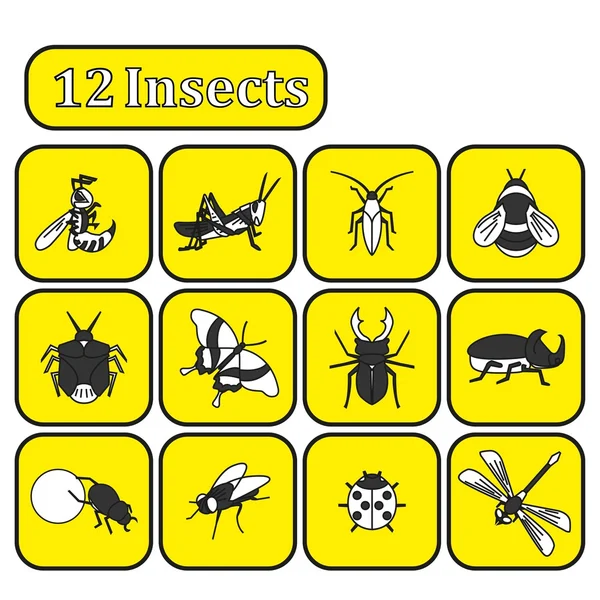 Aantal verschillende insecten — Stockvector