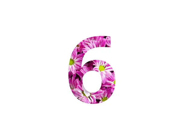 꽃 배경, 흰색 배경에 고립에서 만든 번호 — 스톡 사진