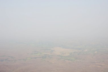 Yanan ormanlar gelen duman sorun. Hava kirliliği sonucudur.