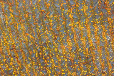 eski metal grunge ile pas arka planlar dokular