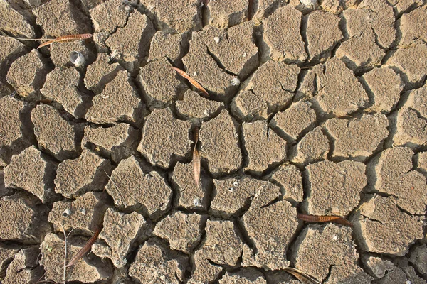 Cracked earth,The drought of lakes — Stock Photo, Image