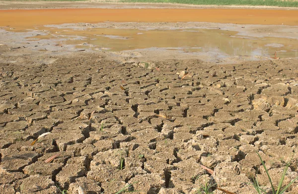Tierra agrietada, La sequía de los lagos —  Fotos de Stock