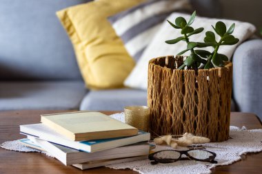 Crassula ovata, üzerinde kitaplar olan bir sehpanın üzerinde, eşsiz, ahşap bir demlikte yetişiyor. Kırsal ve doğal ev dekoru. İç tasarım dekorasyonları için ideal