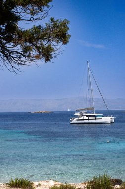 Adriyatik Denizi 'nin kayalık Proizd adası kıyısındaki şeffaf turkuaz sularında yüzen katamaran bir kişi ve yaz sahnesini çevreleyen yemyeşil bir dal.