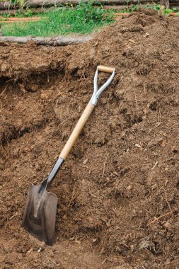 Çam turbası ve orman toprağı içeren gübre yığınına kürek ekmeye ve toprağa bakmaya hazır.