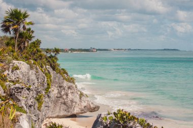 Tulum 'un Karayipler plajı, bereketli palmiye ağaçları, canlı turkuaz denizi çerçeveliyor ve altın kumda dalgalar kırılıyor..