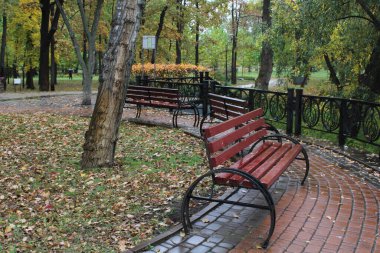 Parkta daireler çiziyor.