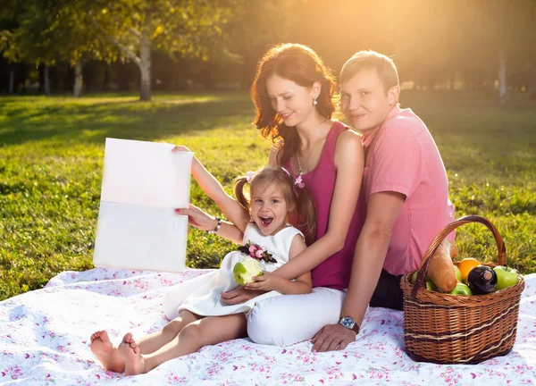 Jovem família feliz fazendo piquenique no prado — Fotografia de Stock