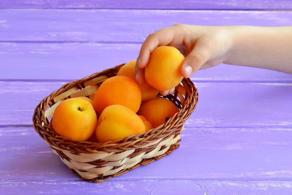 Child takes apricot from basket. — Stock Photo, Image