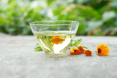 Calendula uçucu yağ haznesi