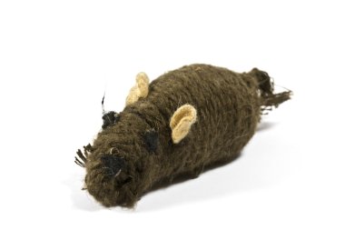 Cızırtılı çiğnenmiş fare oyuncak kediler için