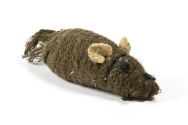 Cızırtılı çiğnenmiş fare oyuncak kediler için