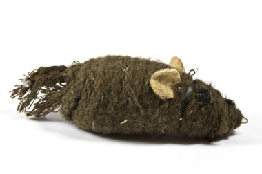 Cızırtılı çiğnenmiş fare oyuncak kediler için