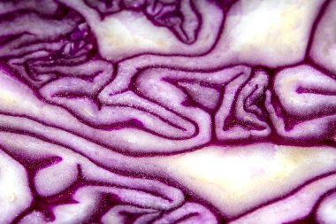 Dilimlenmiş Kırmızı Lahana Beyaz Arkaplanda Yakın