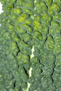 Beyaz Arkaplanda Sağlıklı Yeşil Lahana Yaprağı