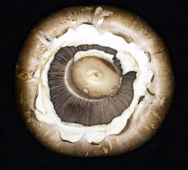 Makro Nahaufnahme Eines Portobello Pilzes Auf Schwarzem Hintergrund — Stockfoto