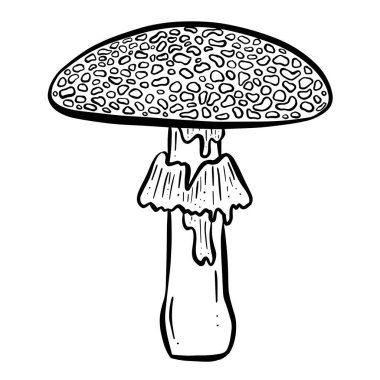 Eğlenceli Mantar Mantar Mantarı Karakteri Vektör ResimleriName