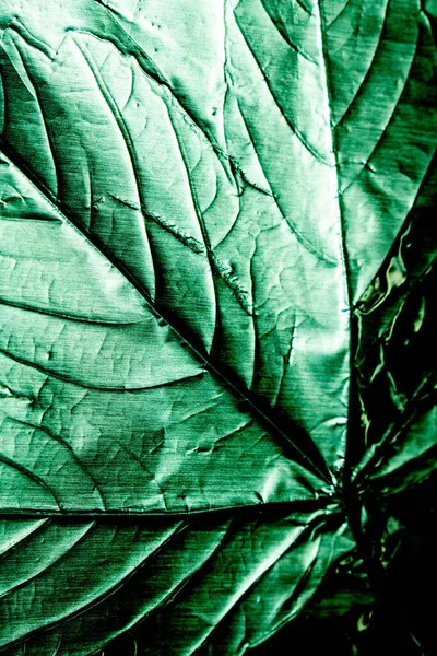 Hoja Olográfica Hoja Hojas Con Las Venas Textura Brillante Patrón — Foto de Stock