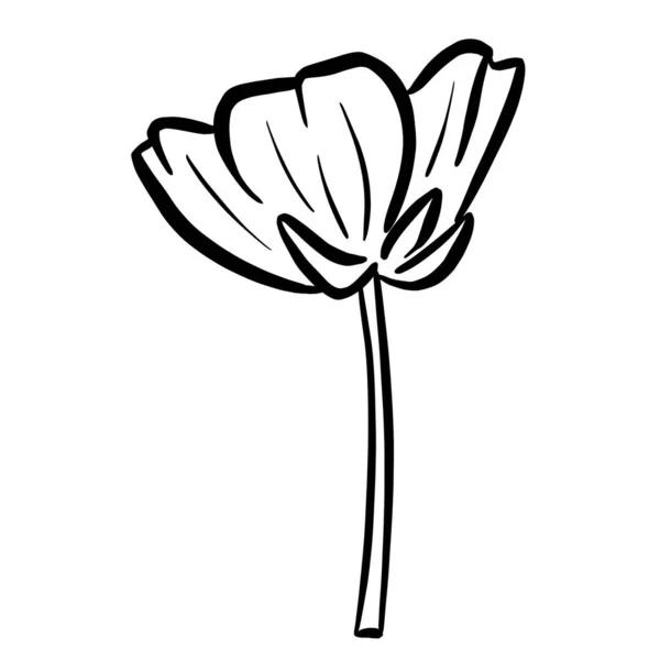 Een Logo Ontwerp Van Een Wilde Bloem Icoon Boterbloem Daisy — Stockvector