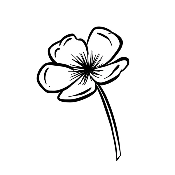 Een Logo Ontwerp Van Een Wilde Bloem Icoon Boterbloem Daisy — Stockvector