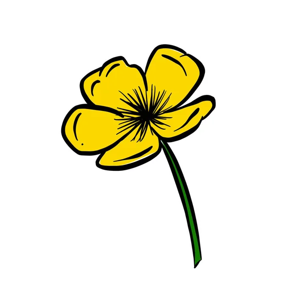 Een Logo Ontwerp Van Een Wilde Bloem Icoon Boterbloem Daisy — Stockvector