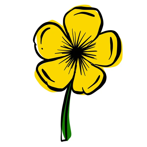 Ένα Λογότυπο Του Σχεδιασμού Ενός Αγριολούλουδου Εικονίδιο Buttercup Λουλούδι Daisy — Διανυσματικό Αρχείο