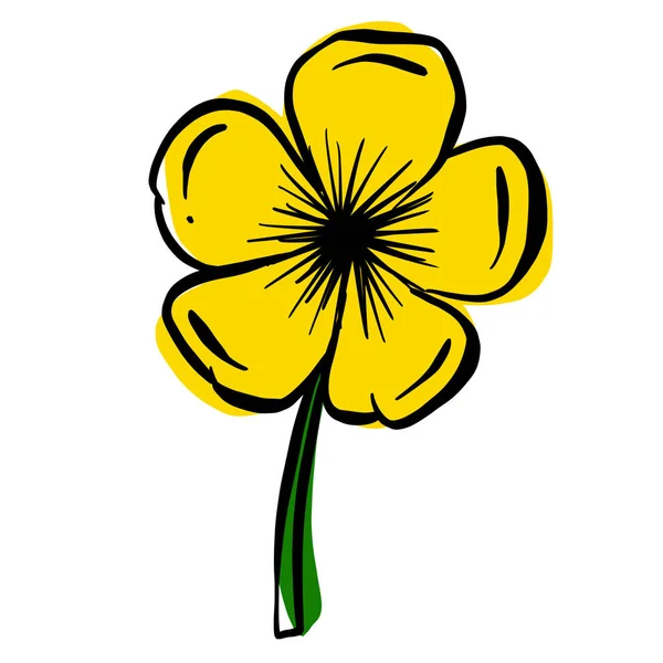 Een Logo Ontwerp Van Een Wilde Bloem Icoon Boterbloem Daisy — Stockvector