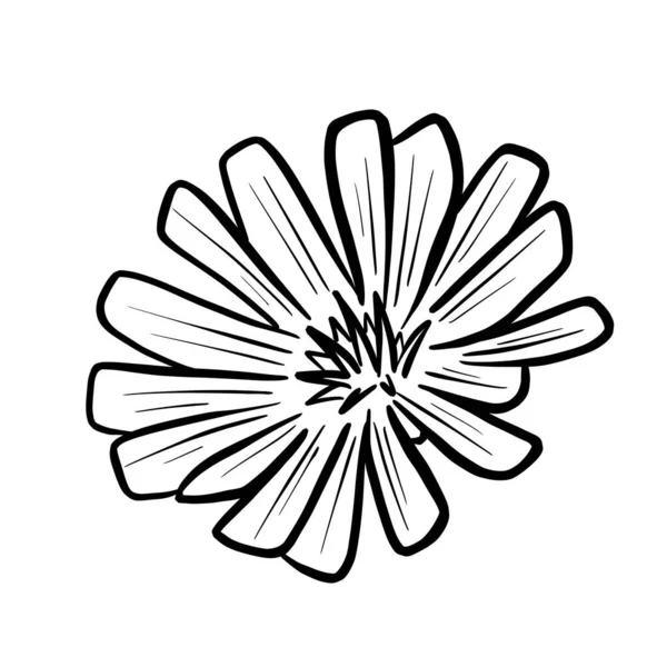 Logo Design Květinové Ikony Buttercup Daisy Pampeliška Atd — Stockový vektor