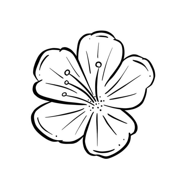 Een Logo Ontwerp Van Een Wilde Bloem Icoon Boterbloem Daisy — Stockvector