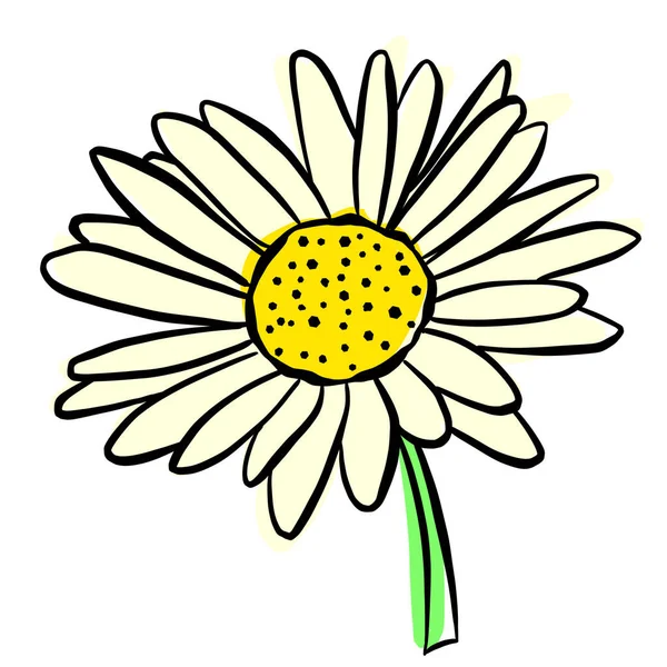 Bir Yaban Çiçeği Kon Düğünçiçeği Logosu Daisy Karahindiba Etc — Stok Vektör