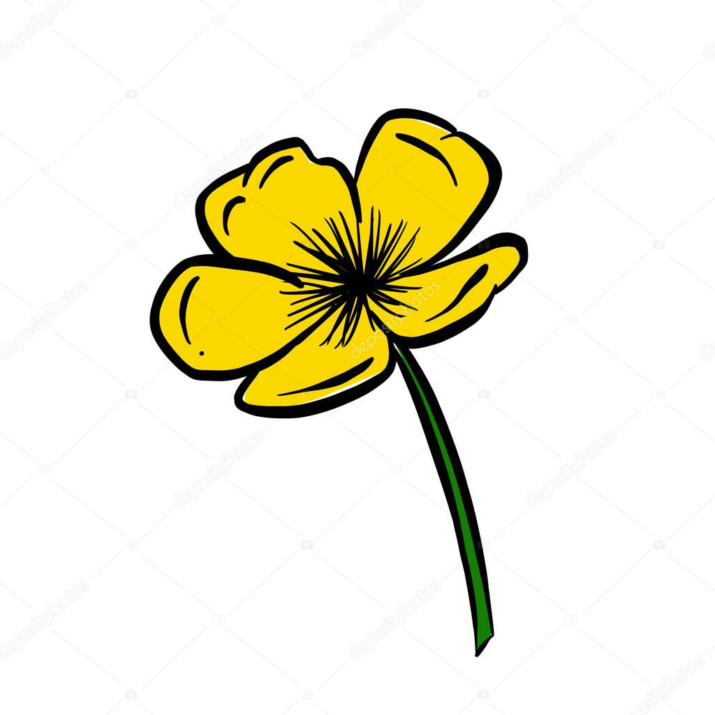 A Logo Design Of a Wildflower Flower Icon Buttercup, Daisy, Dandelion, Etc