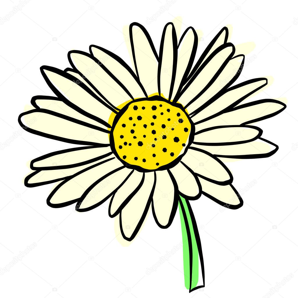 A Logo Design Of a Wildflower Flower Icon Buttercup, Daisy, Dandelion, Etc