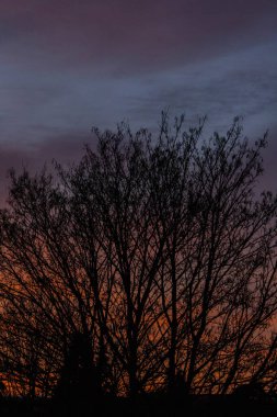 Sonbahar Portakallarının Arkasında Bir Kış Akşamı Günbatımı