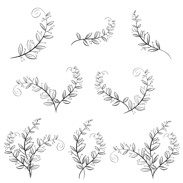 Handgezeichnete Floral Leaf Decoration Collection — Stockvektor