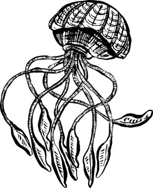 Çizgi Sanat Çizgi Filmi Denizanası Ahtapot Derin Deniz Yaratıkları Vektörü