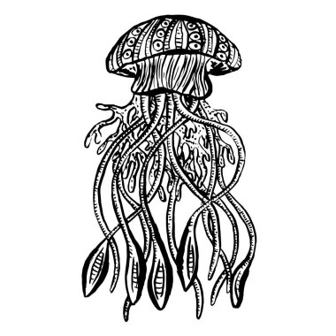 Çizgi Sanat Çizgi Filmi Denizanası Ahtapot Derin Deniz Yaratıkları Vektörü