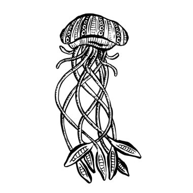 Çizgi Sanat Çizgi Filmi Denizanası Ahtapot Derin Deniz Yaratıkları Vektörü