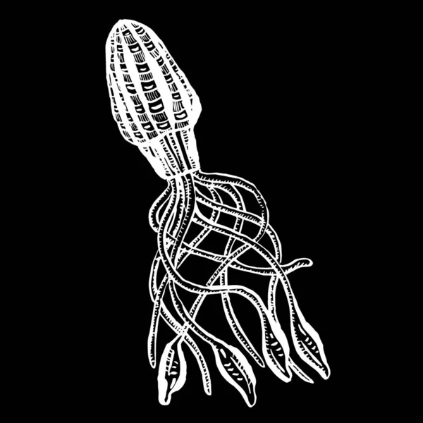 Línea Arte Dibujos Animados Medusas Pulpo Criaturas Mar Profundo Vector — Vector de stock
