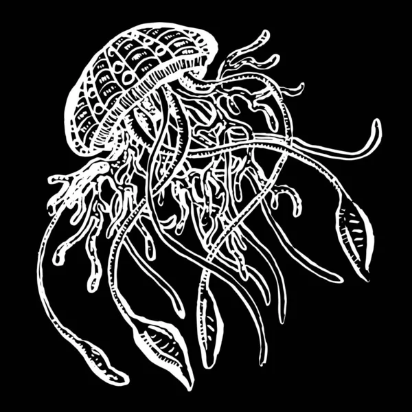 Linha Arte Desenhos Animados Medusa Octopus Deep Sea Criaturas Vetor — Vetor de Stock