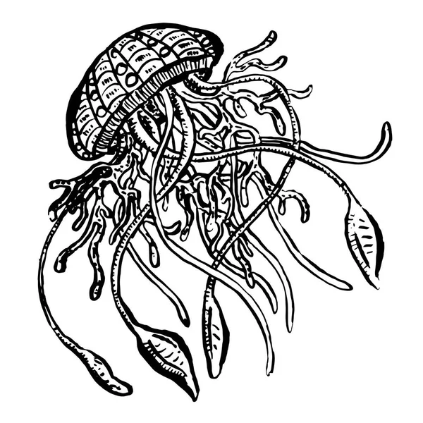 Line Art Cartoon Jellyfish Octopus Deep Sea Creatures Vector — 스톡 벡터